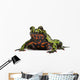 Oriental Fire-bellied Toad Bombina Wall Decal