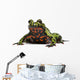 Oriental Fire-bellied Toad Bombina Wall Decal