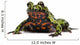 Oriental Fire-bellied Toad Bombina Wall Decal