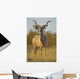 A huge Kudu Bull enjoys the early morning Winter Sun Wall Mural