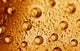 Water Drops