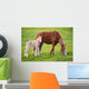 Horse with Its Son Wall Decal