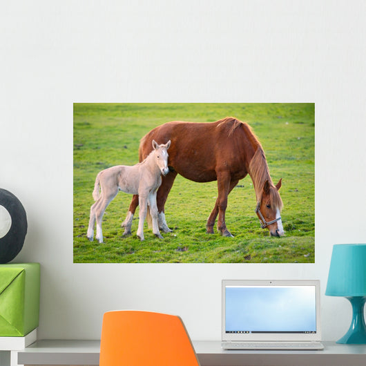 Horse with Its Son Wall Decal