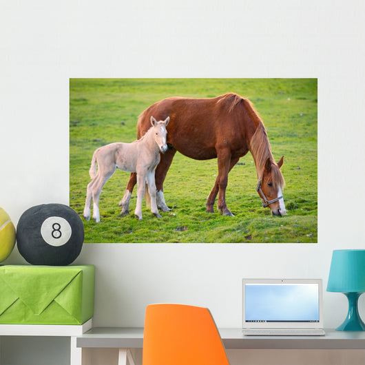 Horse with Its Son Wall Decal
