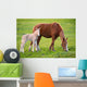 Horse with Its Son Wall Decal