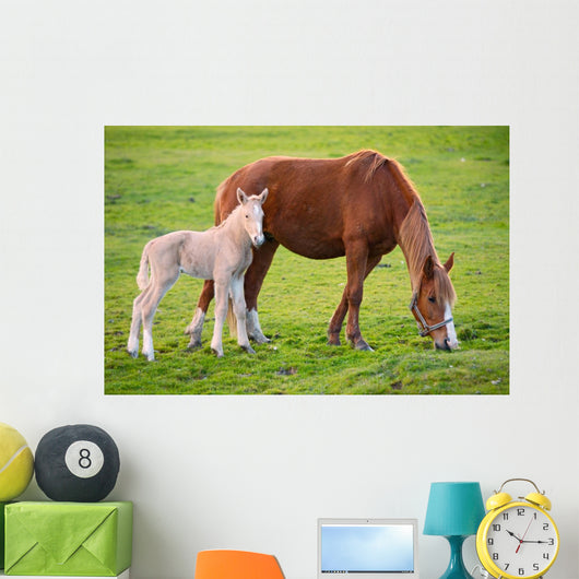 Horse with Its Son Wall Decal