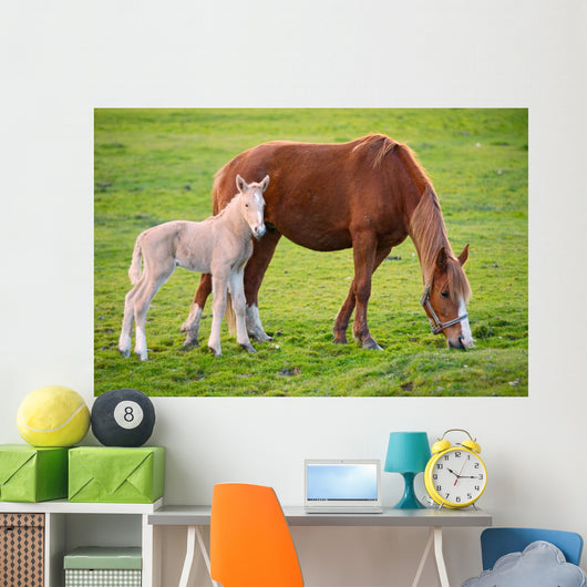 Horse with Its Son Wall Decal