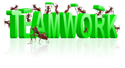 Teamwork Collaboration Wall Decal