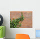 ivy growing up the wall Wall Mural