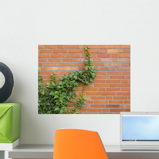 ivy growing up the wall Wall Mural