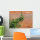 ivy growing up the wall Wall Mural