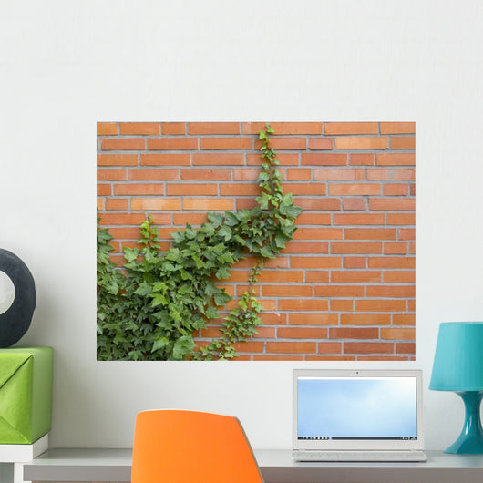 ivy growing up the wall Wall Mural