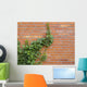ivy growing up the wall Wall Mural