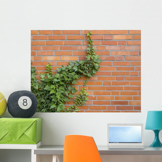 ivy growing up the wall Wall Mural