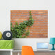 ivy growing up the wall Wall Mural