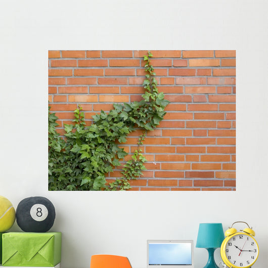ivy growing up the wall Wall Mural