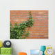 ivy growing up the wall Wall Mural