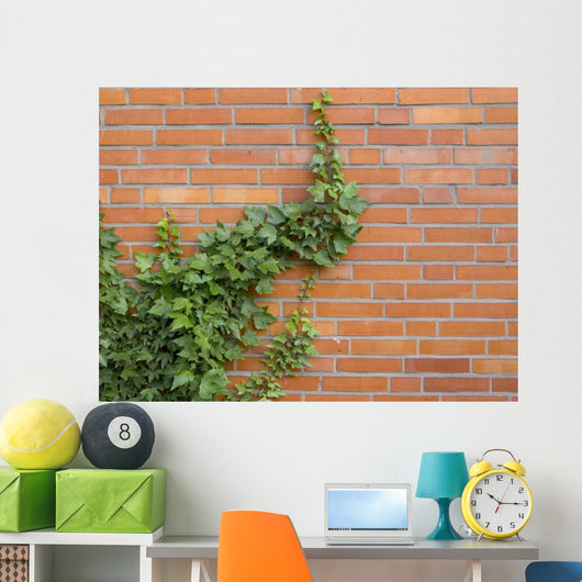 ivy growing up the wall Wall Mural