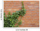 ivy growing up the wall Wall Mural