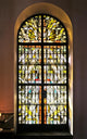 Coloured Light