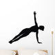 Fitness Exercises
