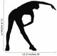 Fitness Exercises