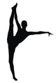Gymnastic