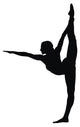Gymnastic Wall Decal