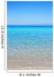 Armenistis beach Wall Mural