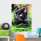 black cat Wall Mural