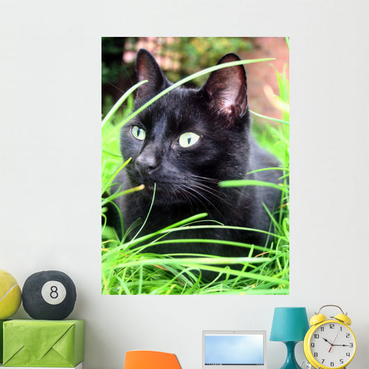 black cat Wall Mural