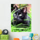 black cat Wall Mural