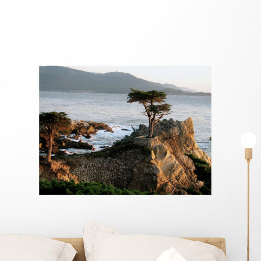 Lone Cypress