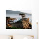 Lone Cypress