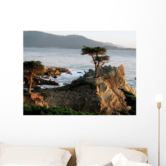 Lone Cypress
