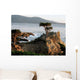 Lone Cypress