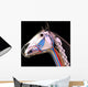 Horse Head Anatomy