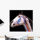 Horse Head Anatomy