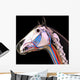 Horse Head Anatomy