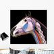 Horse Head Anatomy