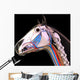 Horse Head Anatomy