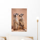 Meerkats Wall Mural