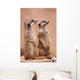 Meerkats Wall Mural