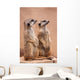 Meerkats Wall Mural