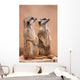 Meerkats Wall Mural