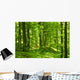 Green Summer Forest
