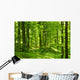 Green Summer Forest