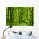 Green Summer Forest