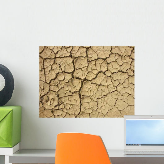 Risse im Boden Wall Decal