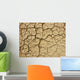 Risse im Boden Wall Decal